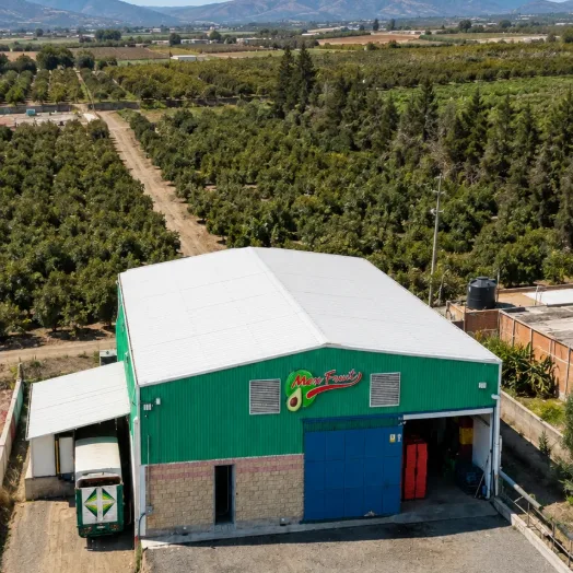 La empacadora de Mexfrut fotografiada desde el aire, con los huertos de Zapotiltic alrededor.