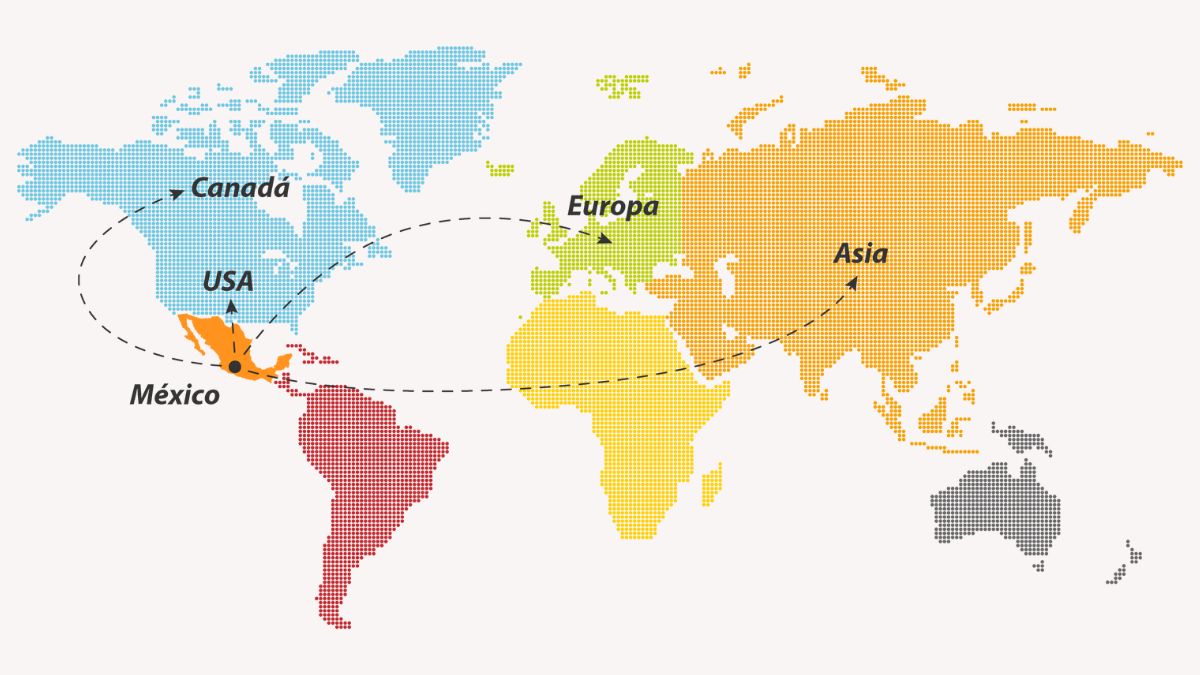 El aguacate Hass mexicano conquista el mundo. Descubre los principales mercados y oportunidades de exportación con Mexfrut, experto en calidad y logística.