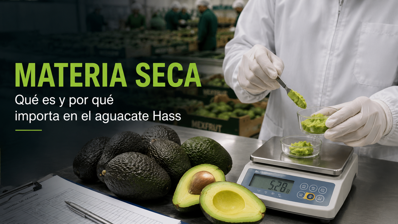 Medición de materia seca del aguacate Hass en control de calidad Mexfrut