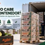 Contenedor reefer con pallets y cajas de aguacate Hass para exportación Mexfrut