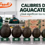Calibres 32 36 40 48 60 70 y 84 de aguacate Hass Mexfrut