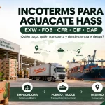 Incoterms EXW FOB CFR CIF y DAP para exportación de aguacate Hass Mexfrut