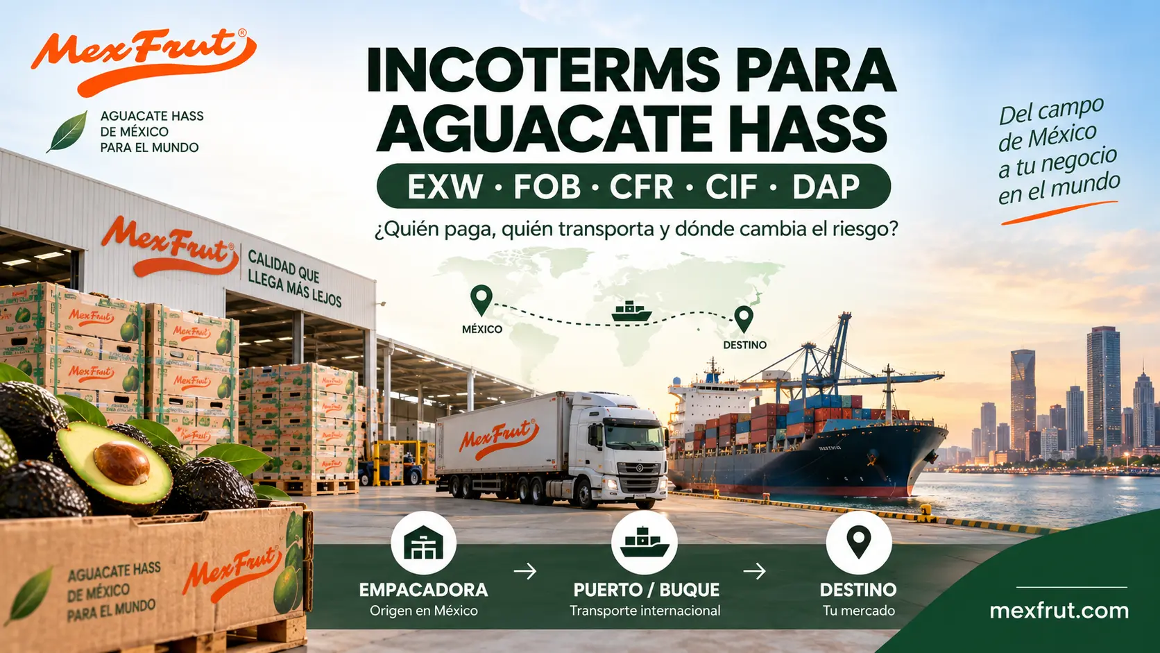 Incoterms EXW FOB CFR CIF y DAP para exportación de aguacate Hass Mexfrut