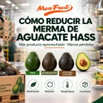 Manejo de aguacate Hass para reducir merma en retail y food service