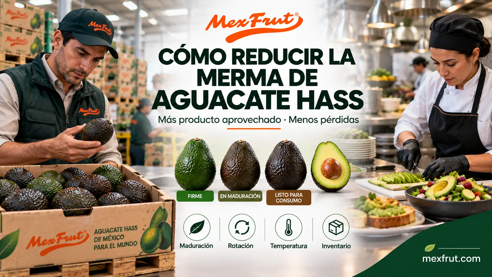 Manejo de aguacate Hass para reducir merma en retail y food service