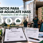 Documentación para exportación de aguacate Hass mexicano con pallet y contenedor Mexfrut