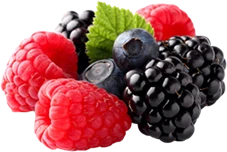 Frutos rojos premium MexFrut: fresa, frambuesa, zarzamora y arándano
