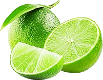 Limón persa de exportación MexFrut