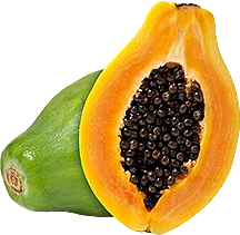 Papaya Maradol MexFrut con maduración controlada