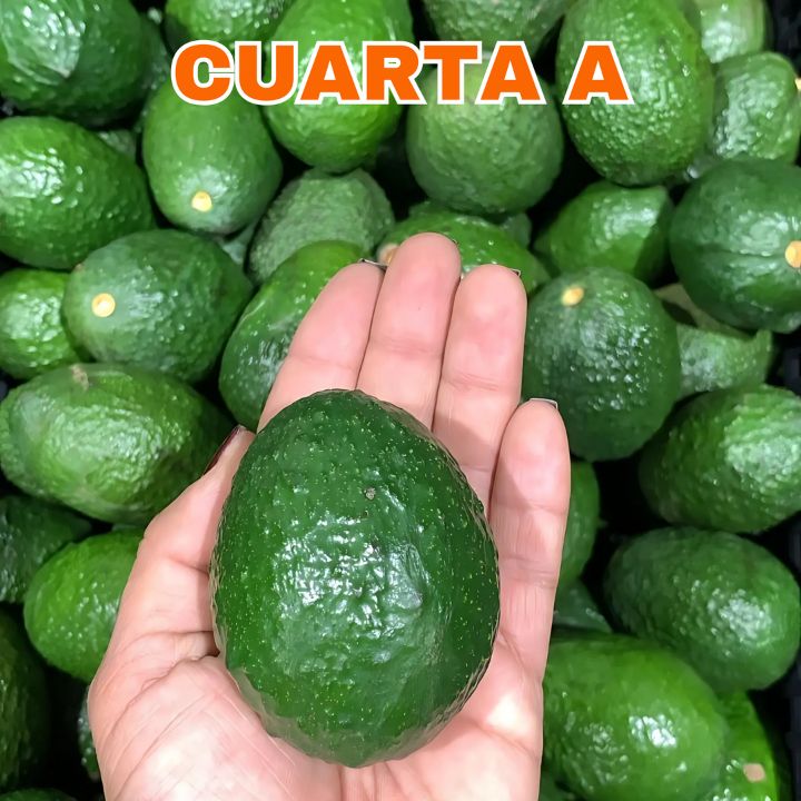 Mexfrut Productores y Comercializadores