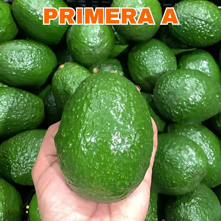 Mexfrut Productores y Comercializadores