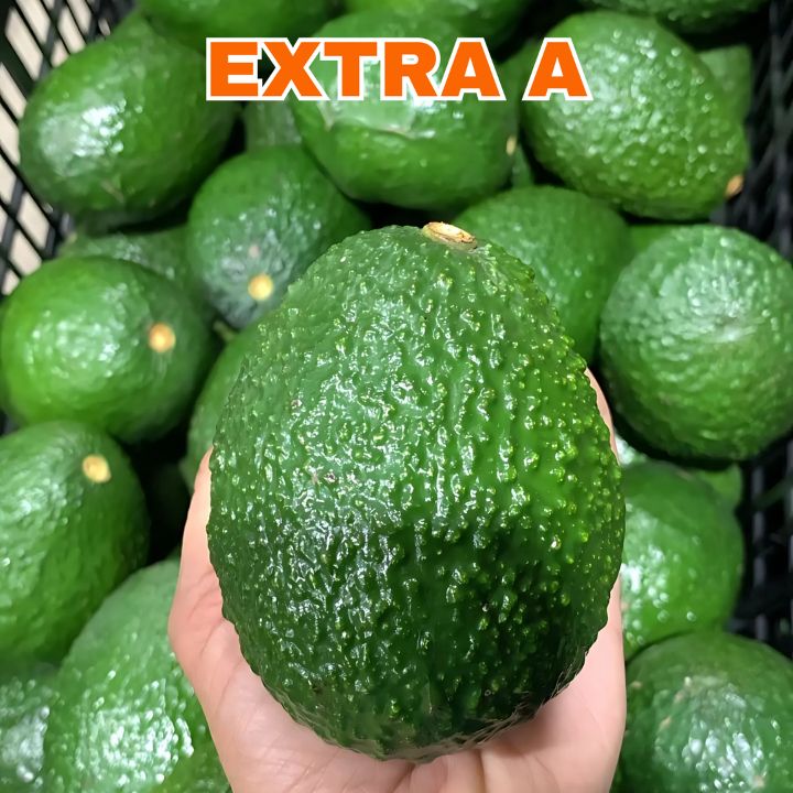 Mexfrut Productores y Comercializadores