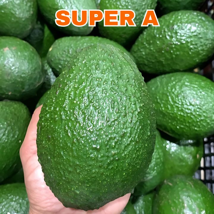 Mexfrut Productores y Comercializadores