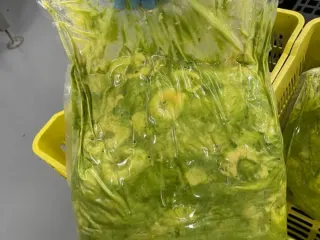 Bolsa de pulpa de aguacate procesada en planta