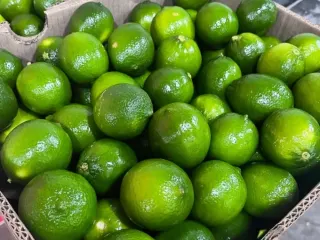 Limón persa de exportación en caja de embarque