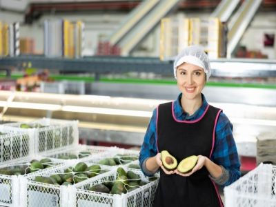 Mexfrut Productores y Comercializadores