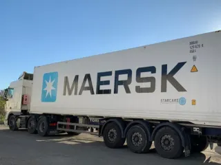 Contenedor refrigerado Maersk cargado con aguacate Hass de exportación