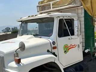 Camión Mexfrut cargado con arpillas de aguacate rumbo a la empacadora