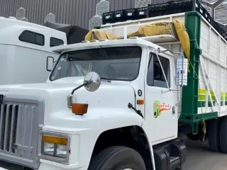 Camioneta Mexfrut recorriendo el huerto durante la supervisión de cosecha