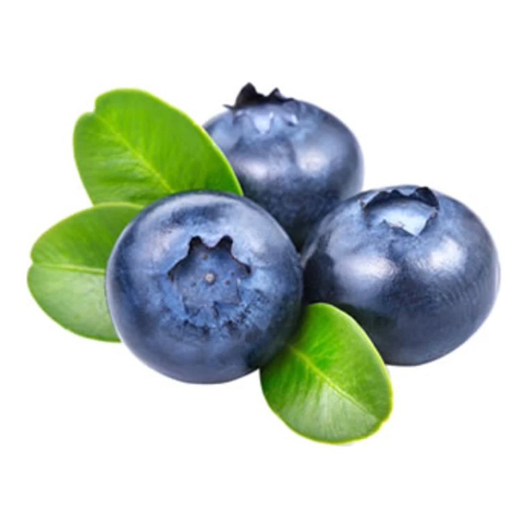 Arándanos mexicanos de exportación de color azul profundo