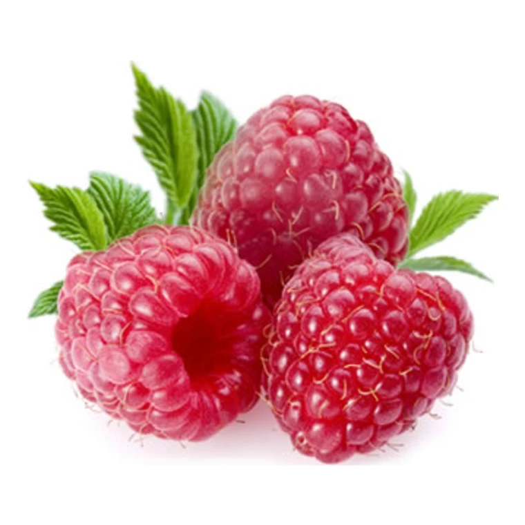 Frambuesas mexicanas de exportación de color rojo brillante