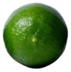 Limón mexicano de exportación calibre 500