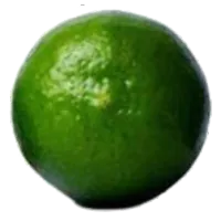 Limón mexicano de exportación calibre 600, la pieza más pequeña