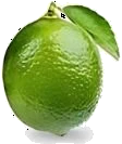 Limón persa mexicano de exportación — calibre 200, 200 piezas por caja