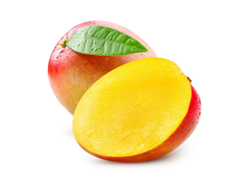 Mango Kent mexicano de exportación — pulpa jugosa de tamaño grande