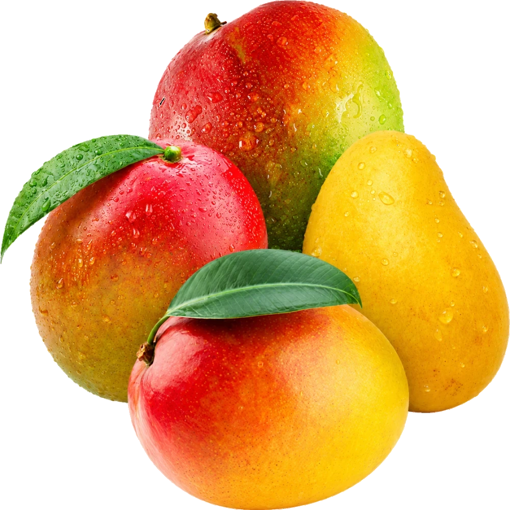 Mangos mexicanos de exportación de las variedades Ataulfo, Kent, Haden y Tommy Atkins